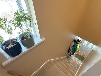 Picture 15